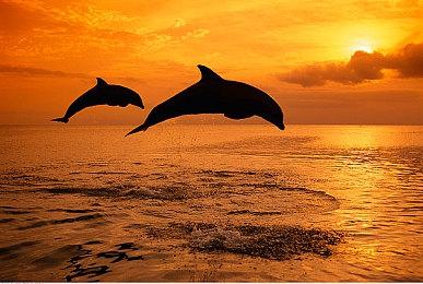 《JOJO的奇妙冒险：群星之战 重制版》乔尼·乔斯达预告 9月1日正式发售