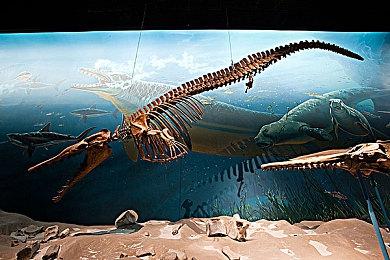 《潜行者2》销量破百万 Steam特别好评